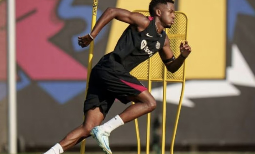 严重的肾脏 严重的肾脏