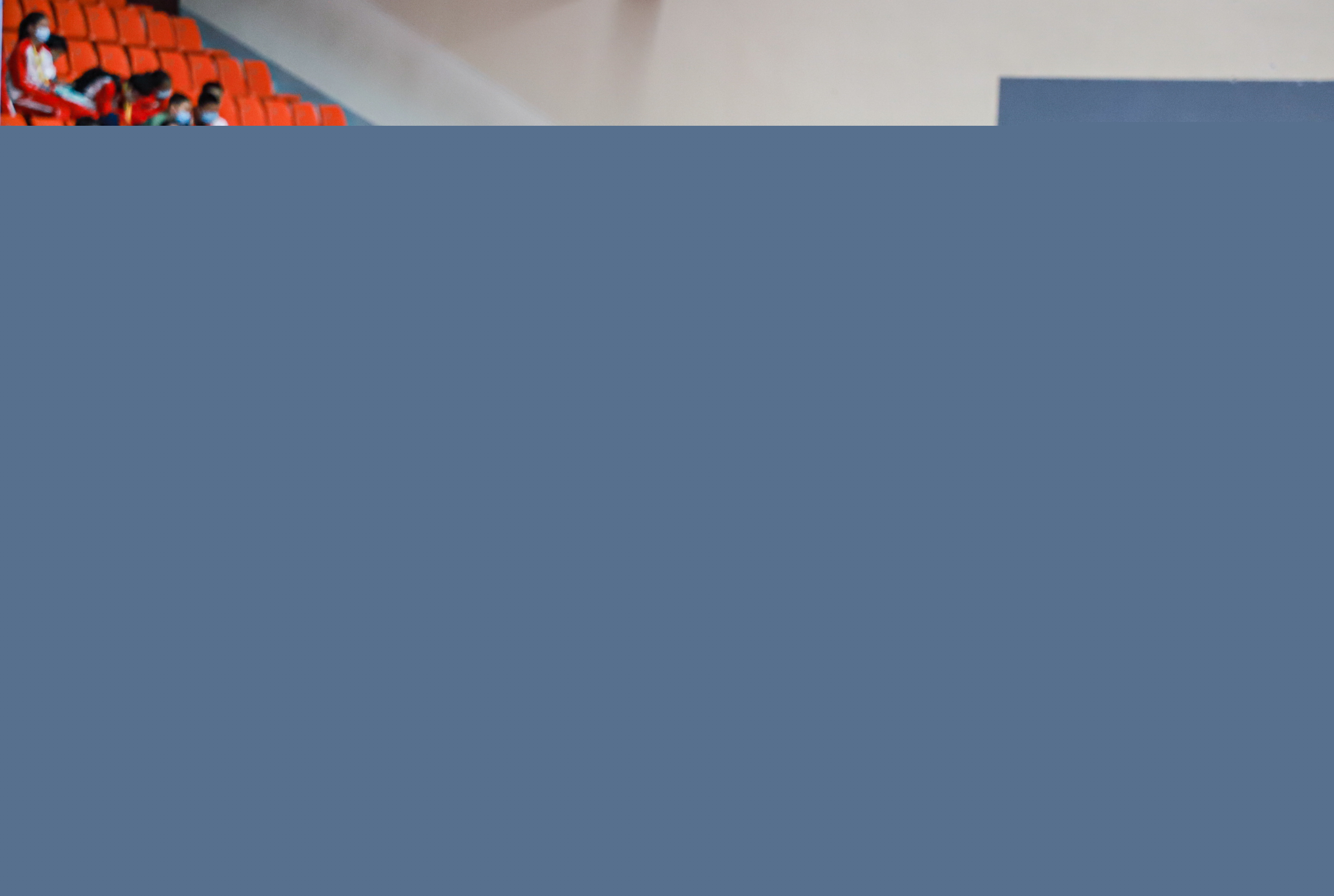 项目提供了 项目提供了