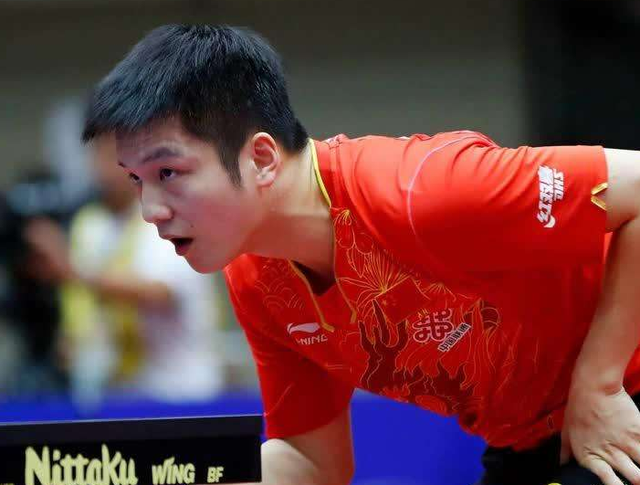 赛场深度解 赛场深度解