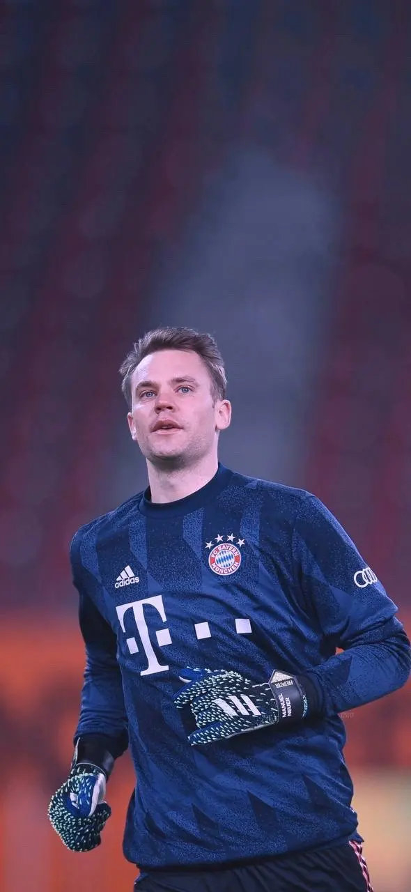 会显著提升 会显著提升